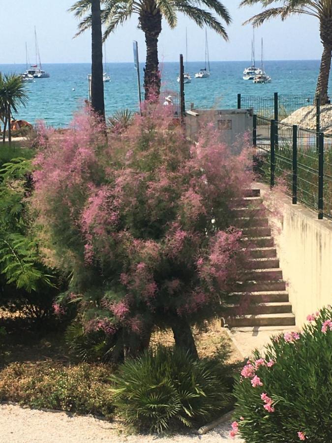 C'Est La Vie Sanary-sur-Mer Exterior foto